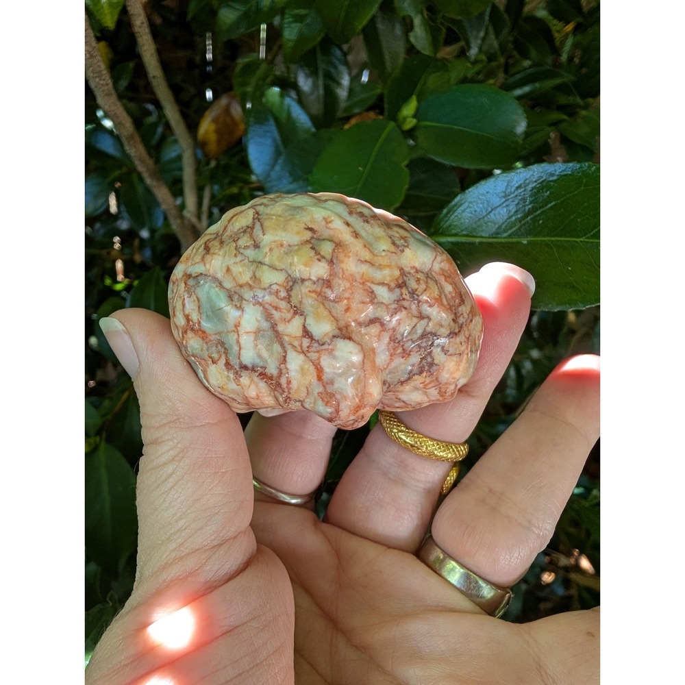 Red Vein Jasper Brain Carving 6.2oz